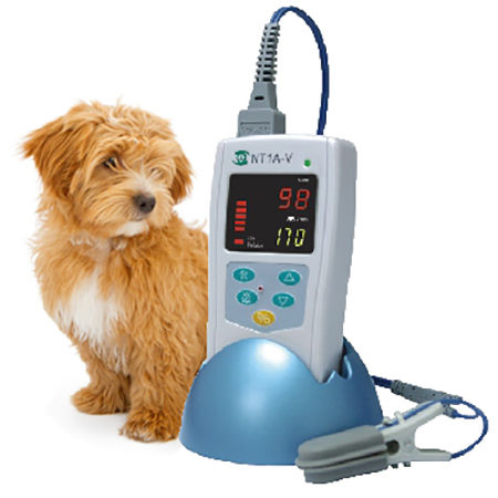 Hand-held pulse oximeter - NT1A-V - Solaris Medical Technology, Inc. - benchtop / veterinary / white