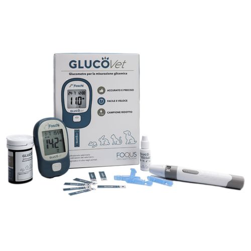 Automatic blood glucose meter - Foschi - veterinary