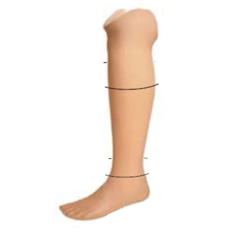 Calf cosmetic prosthesis cover - 2.005.01/2.005.02 - Roadrunnerfoot Engineering - foot / adult
