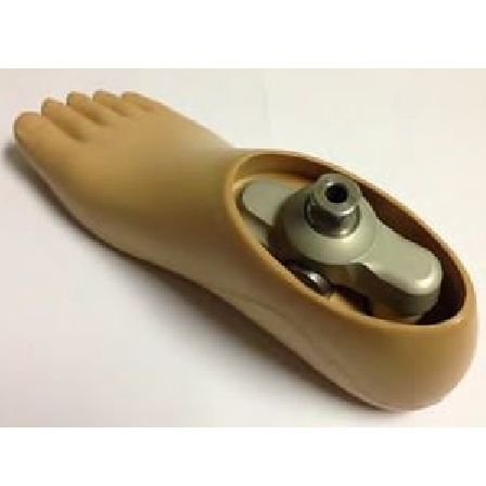 Single-axis prosthetic foot - 1.007.02 - Roadrunnerfoot Engineering - K2 / for walking / adult