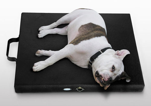 Canine Magnetotherapy unit - Centurion Kennel  - Centurion Systems - mattress