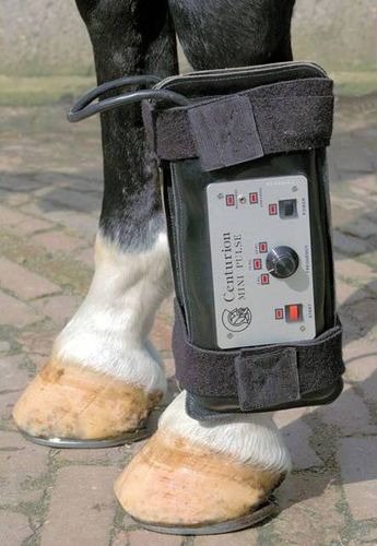 Equine Magnetotherapy unit - Centurion Mini Pulse  - Centurion Systems - wearable