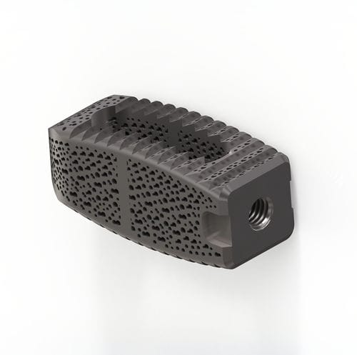 Lumbar interbody fusion cage - TERRACOTTA PLIF - Osimplant - posterior / titanium