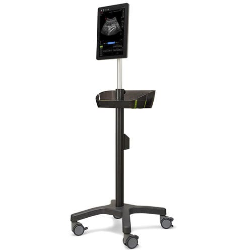 Portable, with trolley ultrasound system - Piloter - Wisonic - for musculoskeletal ultrasound imaging / B/W / touchscreen