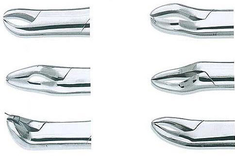 Dental forceps - TK-D3647 - TENKO MEDICAL SYSTEM CORP