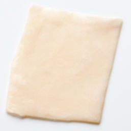 Vascular tissue matrix - CryoPatch® SG - Cryolife - allograft