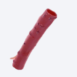 Pulmonary artery vascular bioprosthesis - CryoGraft®  - Cryolife - allograft / with valve