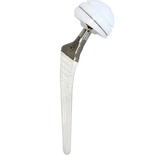 Primary hip prosthesis - TTH® - Biotechni - cementless