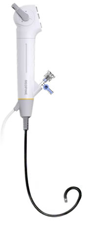 Single use video cystoscope - REDPINE&trade; - EUROMEDICAL - SDJ