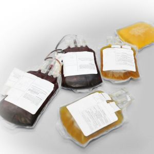 Antibody - CS300 series - TCS Biosciences Ltd - serum / for research / for tissue culture
