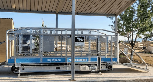 Horse veterinary treadmill - ELITE - Sascotec