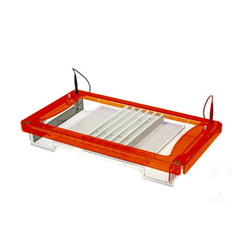 DNA electrophoresis chamber - ME26-16-24-32 - Major Science - for RNA / horizontal