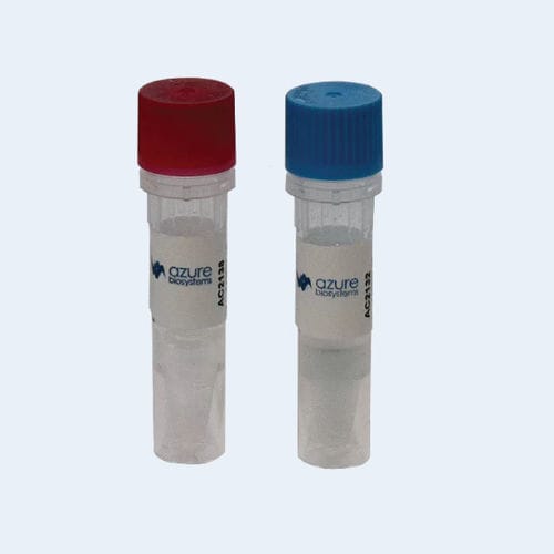 Antibody - AC21 series - Azure Biosystems - for immunodetection / liquid