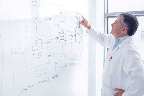 Healthcare facility wall structure - Whiterock™ Whiteboard - ALTRO LTD - for surgery units