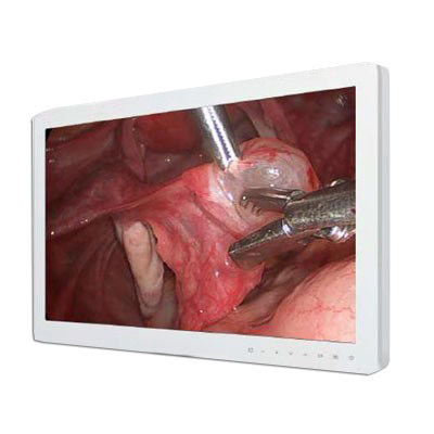 Medical monitor - FS-P2607D - 3D Medi Vision - 1920 x 1080 / VGA / 26"