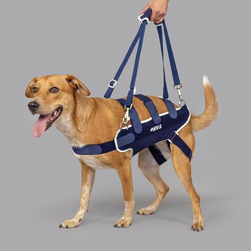 Walking harness - Balto® Body Lift  - KVP EU Ltd - veterinary / leg / for dogs