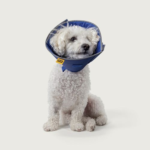 Dog veterinary collar - Calmer ™ - KVP EU Ltd - adjustable / washable / with Velcro® closure