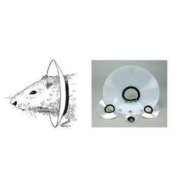 Rodent veterinary collar - EC201V-10, EC4 Series - Kent Scientific - washable / adjustable / for animal research