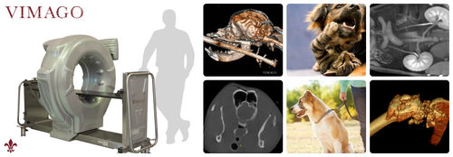 Large animal veterinary CT scanner - Vimago™ - Epica Medical Innovations - for small animals