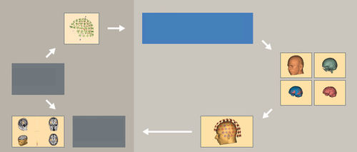 Analysis software - MRI 3.0 - BESA GmbH - visualization / scan / import