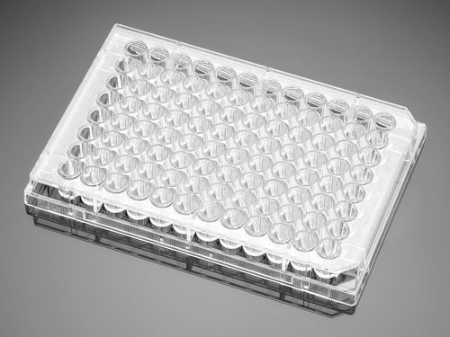 Microplate for life sciences applications - 353910 - Corning BV - 96-well