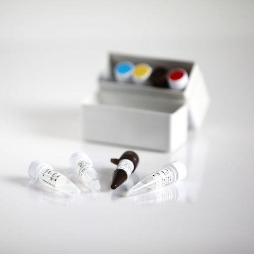 Hepatitis B test kit - 09011025 - RTA Laboratories - HBV / clinical / serum