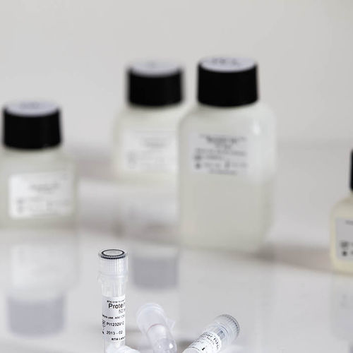 Dye reagent kit - 09044 series - RTA Laboratories - for research / for nucleic acids / for DNA cleanup