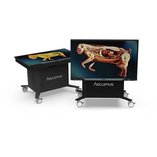 Training anatomy table - TBK-65 - Taiwan Main Orthopaedic Biotechnology - virtual dissection / mobile / height-adjustable