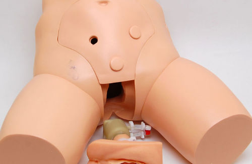 Urinary catheterization simulator - Cathi - Remedy Simulation Group - for urological care / female / pelvis