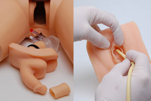 Urinary catheterization simulator - "Willi and Cathi" Combo - Remedy Simulation Group - for urological care / female / male