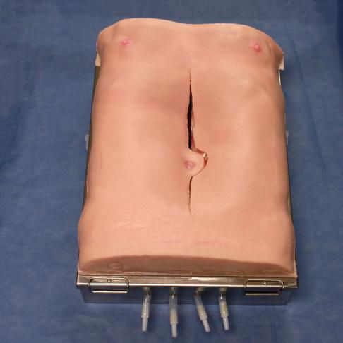 Abdominal aortic aneurysm simulator - 3-Dmed - training / suture / for general care