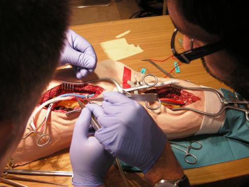 Training simulator - 3-Dmed - for general care / anastomosis / male
