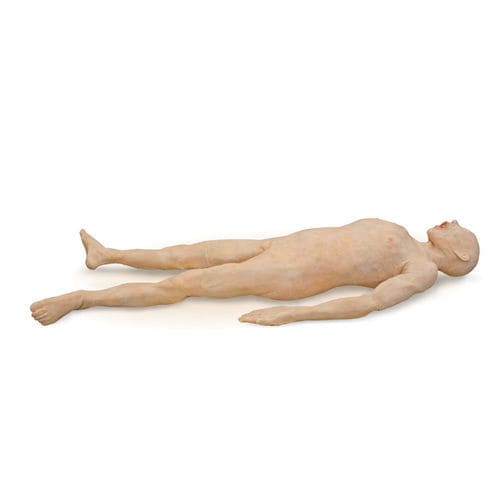 Body anatomy model - 101300 - SynDaver Labs - body / skin / surgical