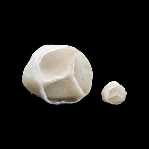 Aortic valve anatomy model 130630 SynDaver Labs puncture