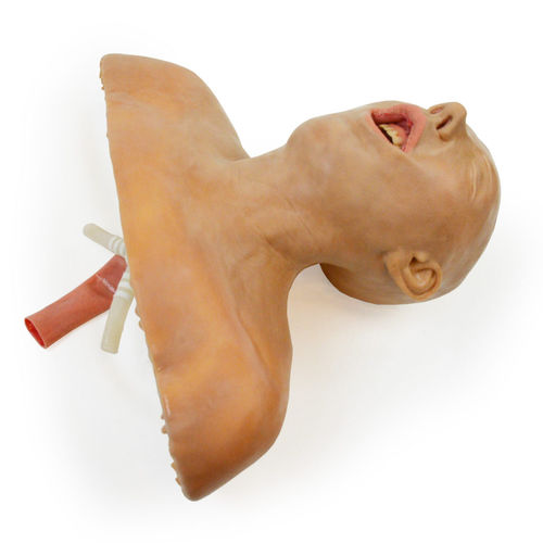Training simulator - 160410 - SynDaver Labs - for teaching / airway management / intubation