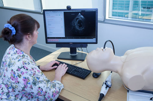 Evaluation simulator - Inventive Medical Limited - for echocardiography / torso / computer-assisted