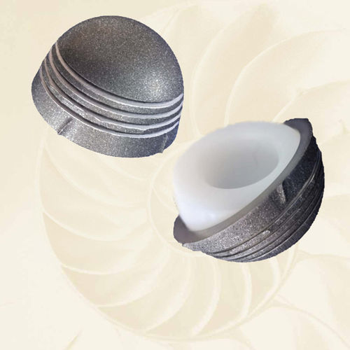 Cementless acetabular prosthesis - 022-21 series - Biotech Medical