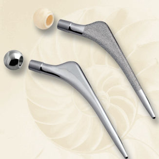 Cemented or non-cemented femoral stem - BET - Biotech Medical