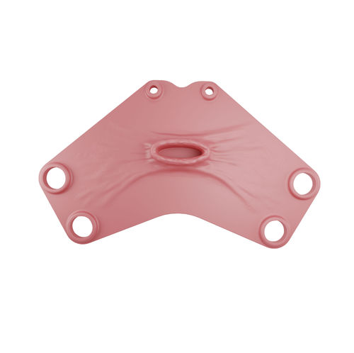 Vaginal model - 00000376 - Inovus Medical - surgery / training / hysterectomy