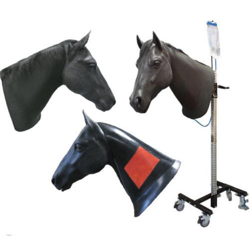 Head model - Veterinary Simulator Industries - veterinary / intramuscular injection / for venipuncture
