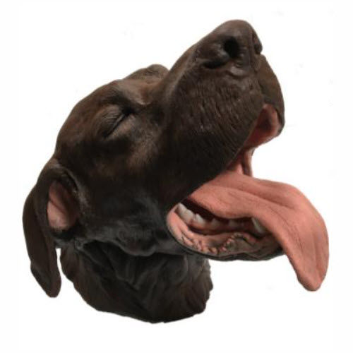 Training simulator - Veterinary Simulator Industries - intubation / extraction / dental care