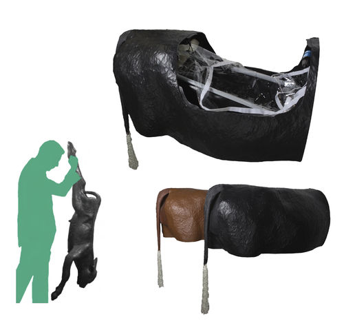 Dystocia simulator - Veterinary Simulator Industries - veterinary / cattle / pelvis
