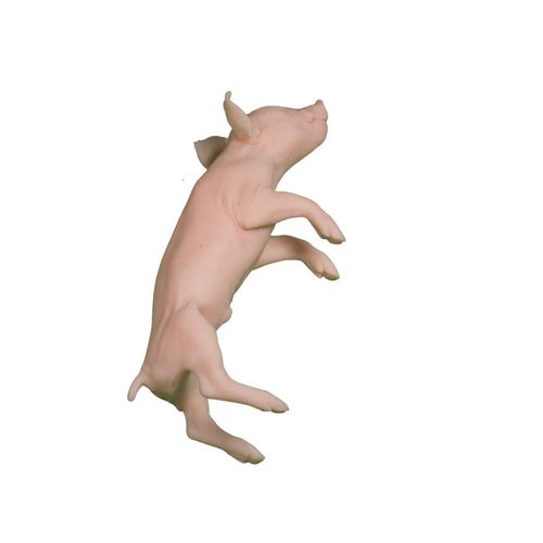 Veterinary training manikin - Veterinary Simulator Industries - pig / pink
