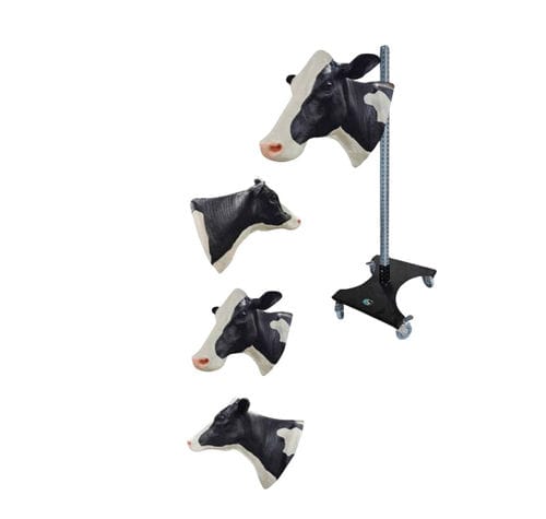 Intramuscular injection simulator - Veterinary Simulator Industries - for venipuncture / veterinary / cattle