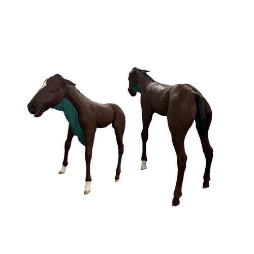 Veterinary training manikin - Veterinary Simulator Industries - palpation / for intubation / for dystocia