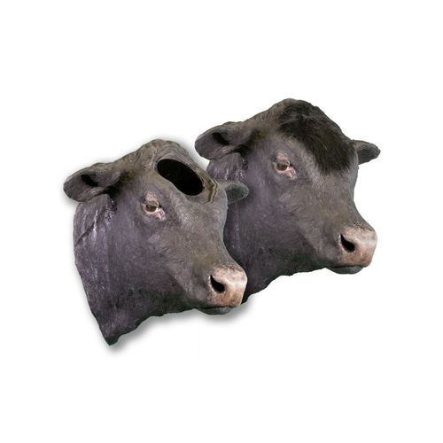 Demonstration simulator - Veterinary Simulator Industries - veterinary / cattle / head