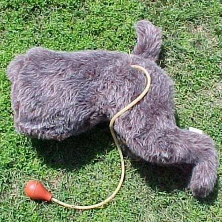 Bandaging simulation trainer - 710 - Rescue Critters - anatomy / animal / leg