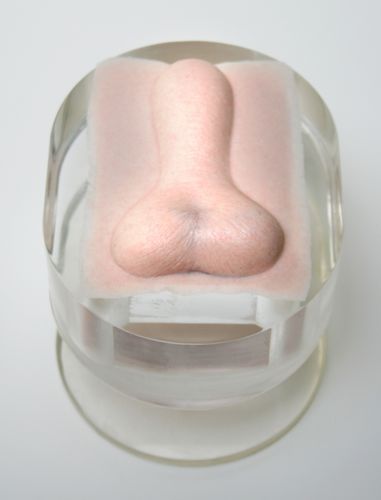 General care training manikin - 256 - Rescue Critters - canine