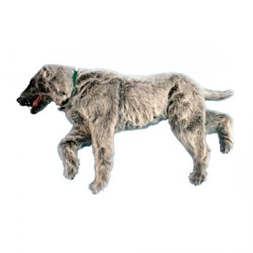 Abdominal surgery training manikin - EMILY  - Rescue Critters - for veterinary care / baby / dog