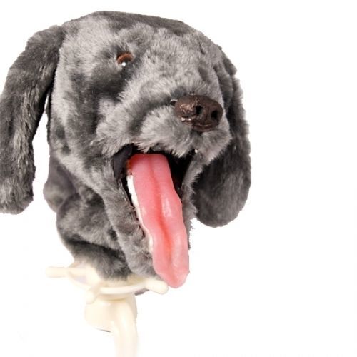 Veterinary training manikin - 606 - Rescue Critters - for intubation / dog / head